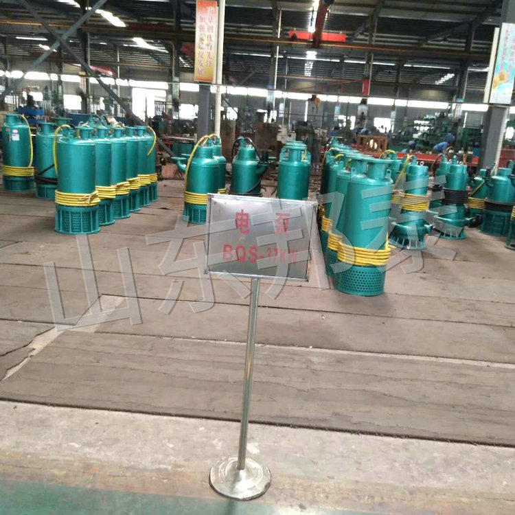 BQS37KW多級(jí)礦用潛污電泵.jpg
